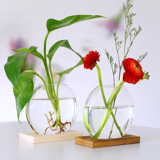 Clear Hydroponic Plants Vase Home Office Desktop Decor