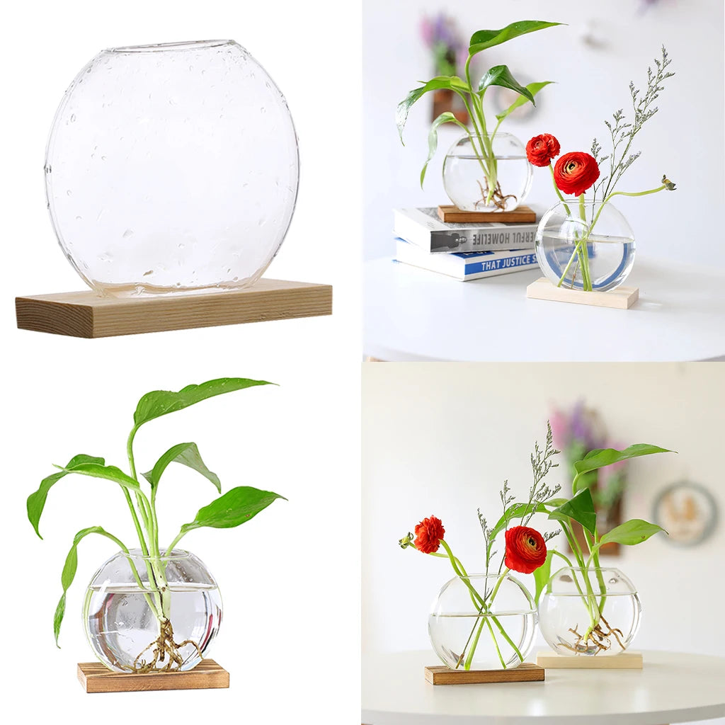 Clear Hydroponic Plants Vase Home Office Desktop Decor