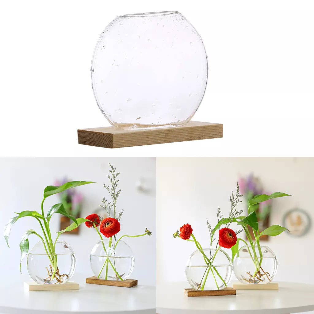 Clear Hydroponic Plants Vase Home Office Desktop Decor