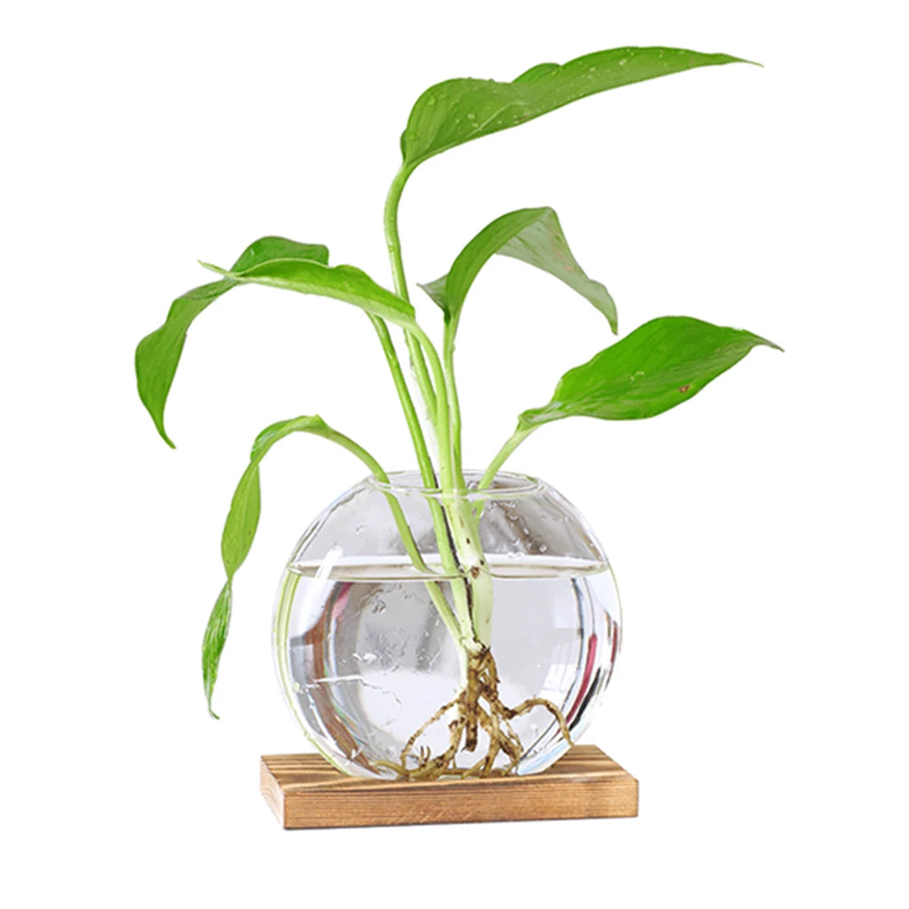 Clear Hydroponic Plants Vase Home Office Desktop Decor