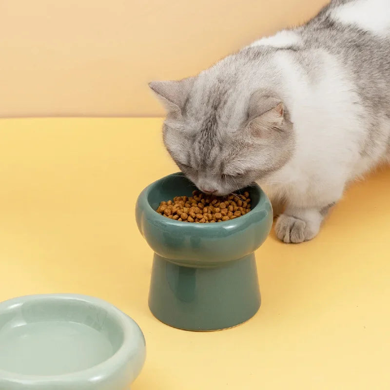 Elevated Pet Food Ceramics Bowls